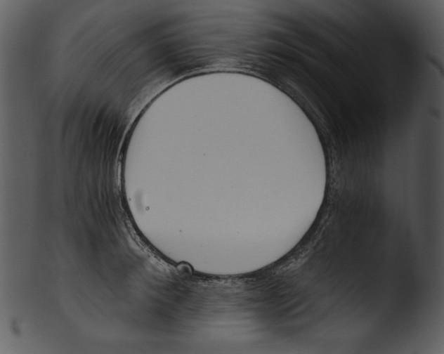 X0000103220900200809251132