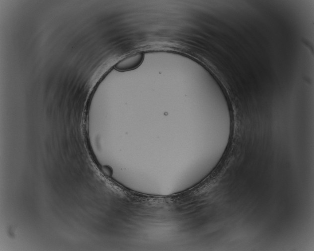 X0000103220901200809251132