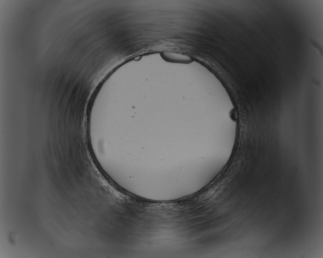 X0000103220902200809251132