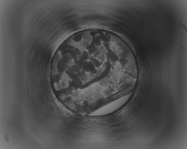 X0000103220903200809251132