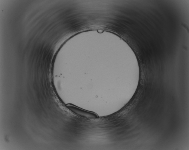 X0000103220904200809251132