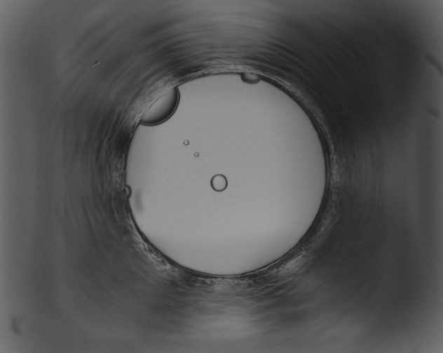 X0000103220905200809251132