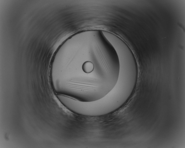 X0000103220909200809251132