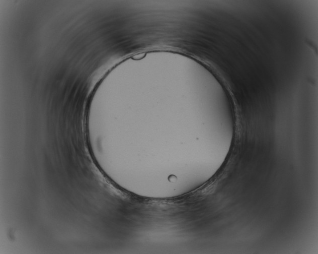 X0000103220910200809251132