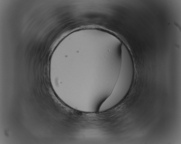 X0000103220911200809251132