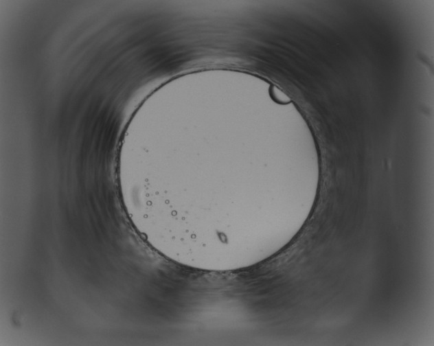 X0000103220912200809251132