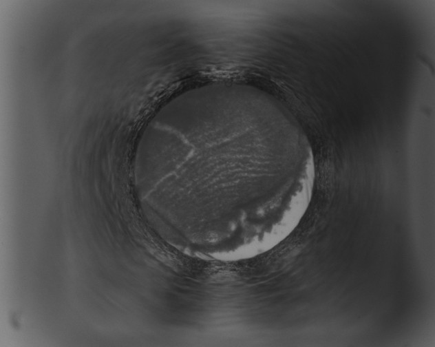 X0000103220913200809251131