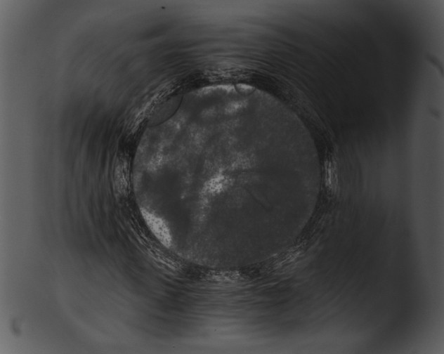 X0000103220915200809251131