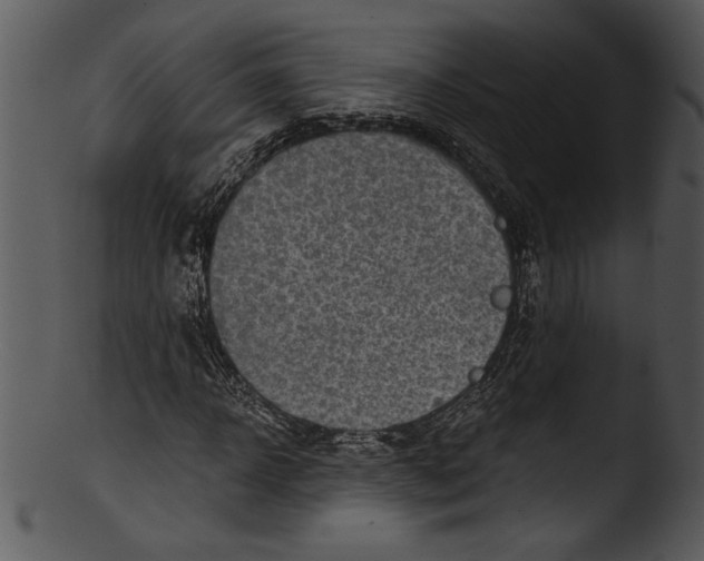 X0000103220918200809251132