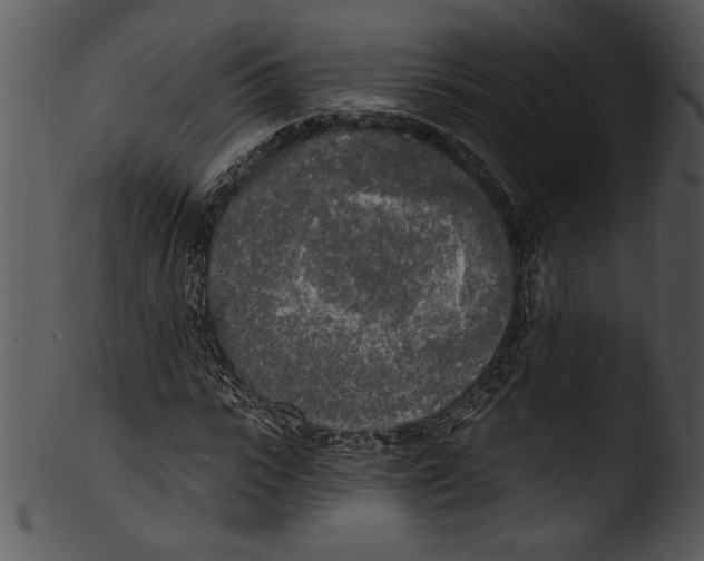 X0000103220919200809251132