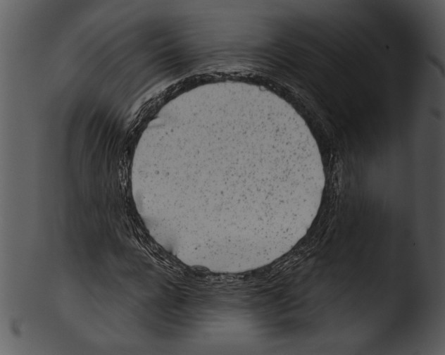 X0000103220920200809251132