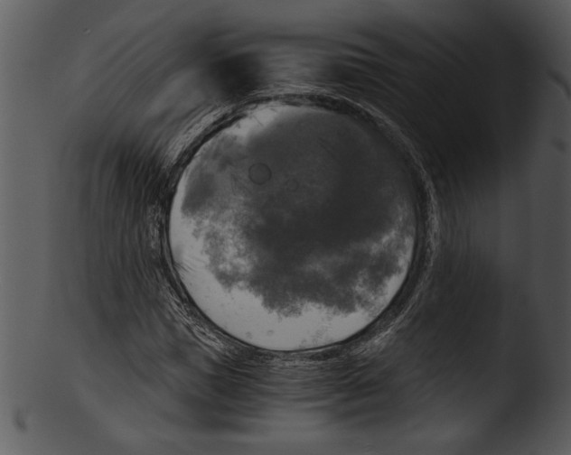 X0000103220921200809251132