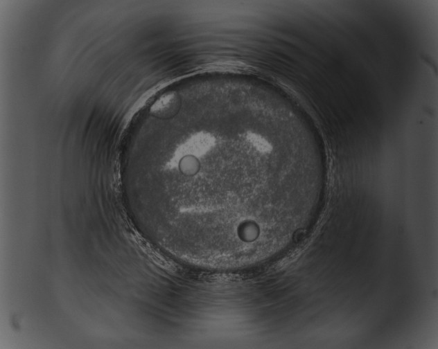 X0000103220923200809251132