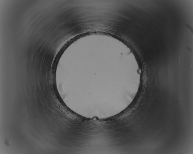 X0000103220924200809251132