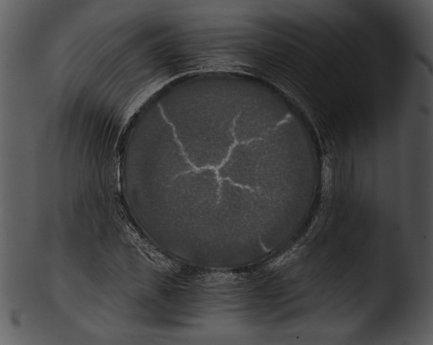 X0000103220925200809251132