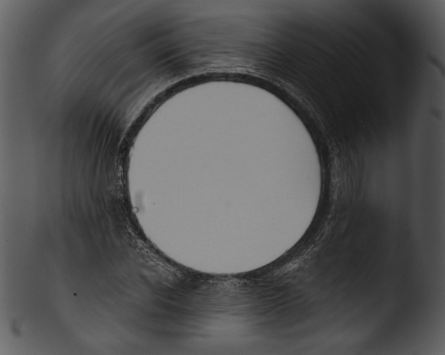 X0000103220926200809251132