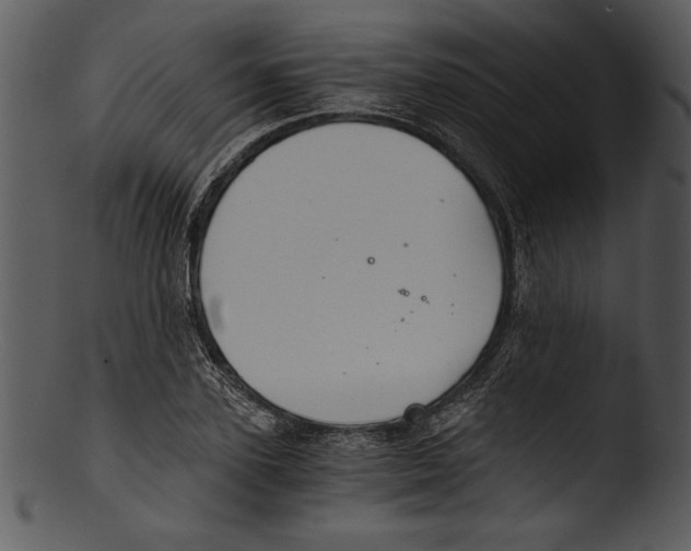 X0000103220931200809251132