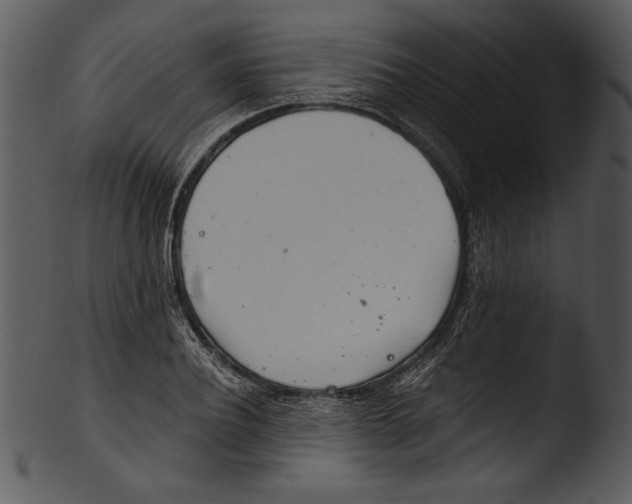 X0000103220932200809251132