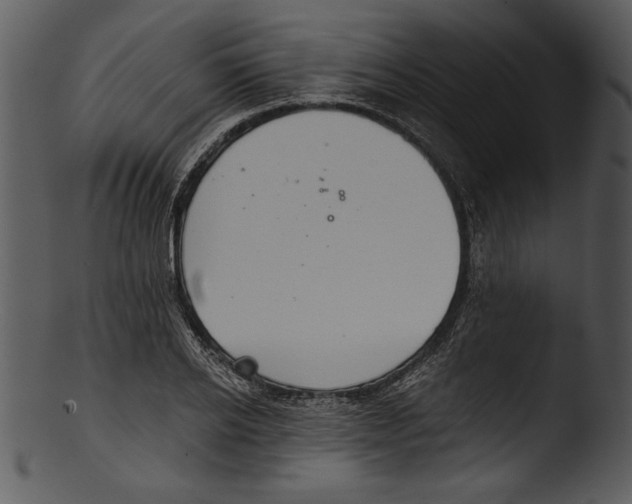 X0000103220934200809251132