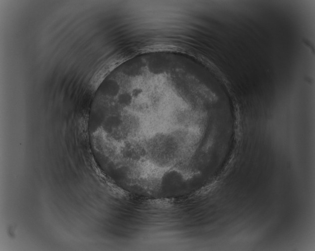 X0000103220937200809251132