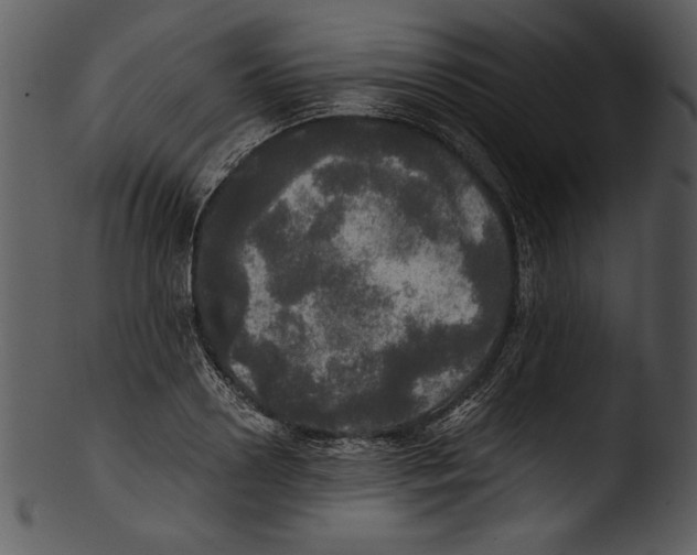 X0000103220938200809251132