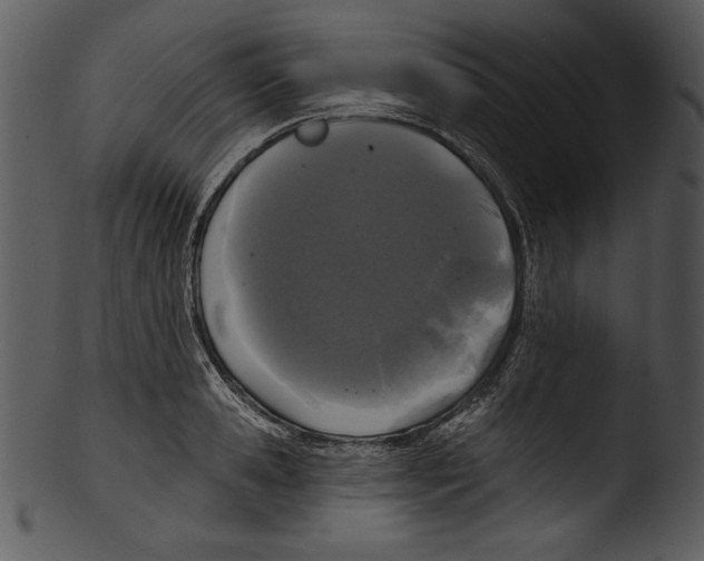 X0000103220941200809251132