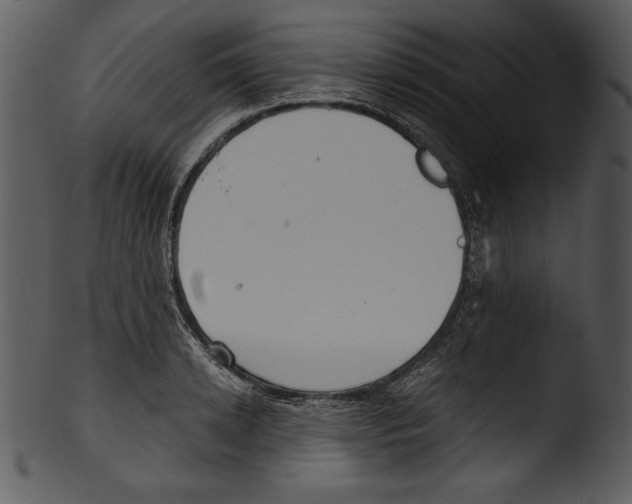 X0000103220942200809251132