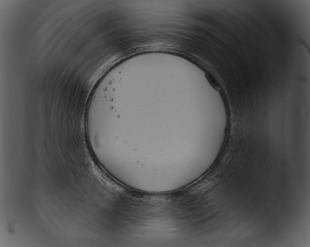 X0000103220946200809251132