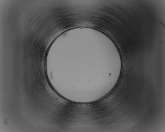 X0000103220947200809251132