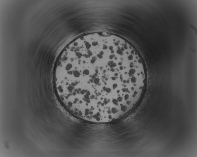 X0000103220949200809251132