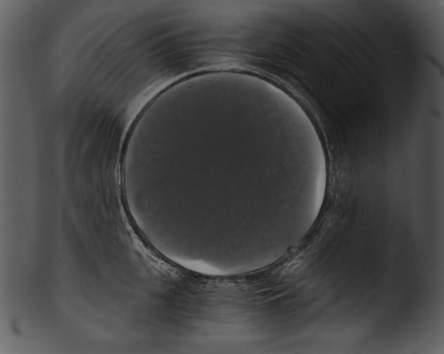 X0000103220951200809251132