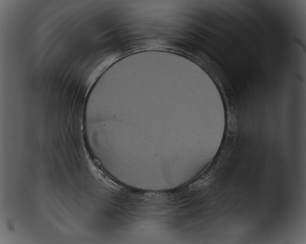 X0000103220954200809251132