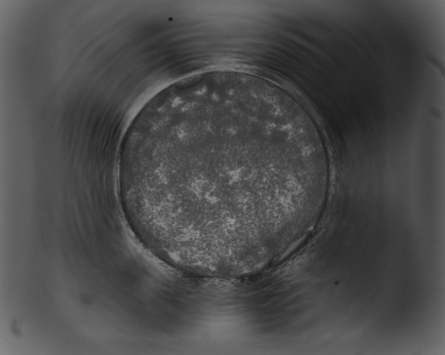 X0000103220955200809251132