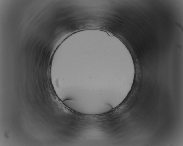 X0000103220956200809251132