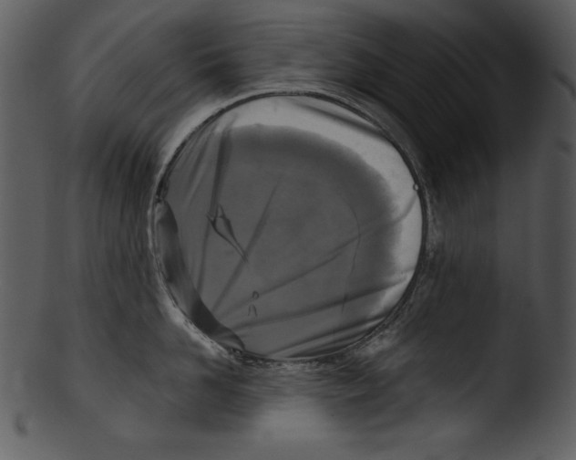 X0000103220958200809251132