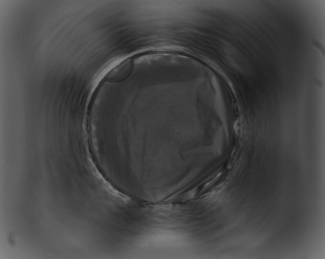 X0000103220959200809251132