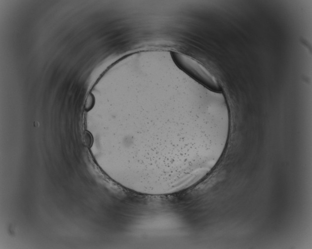 X0000103220960200809251132