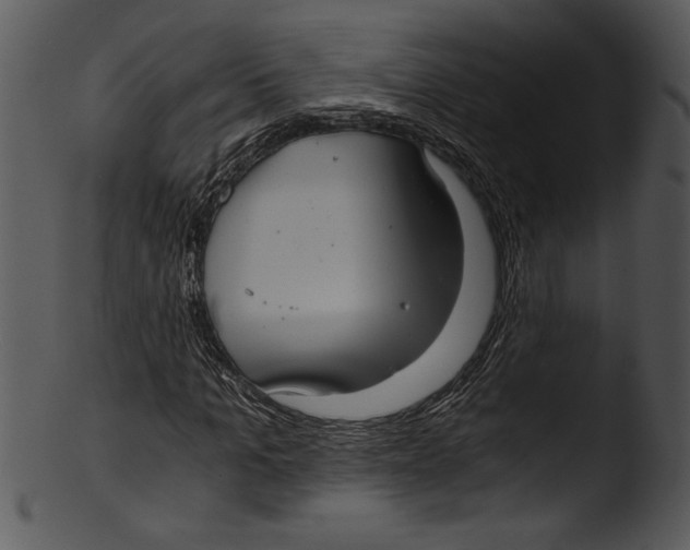 X0000103220965200809251131