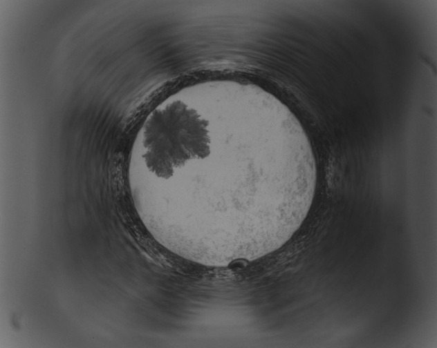 X0000103220968200809251131