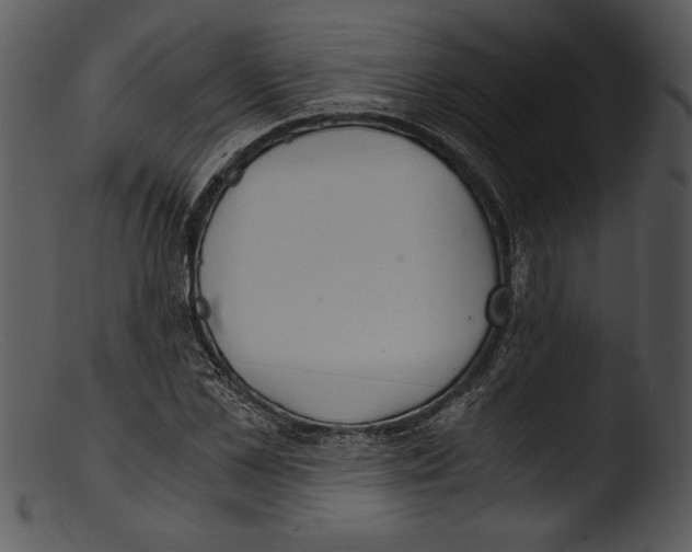 X0000103220973200809251131