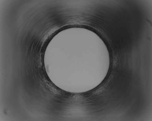 X0000103220974200809251131