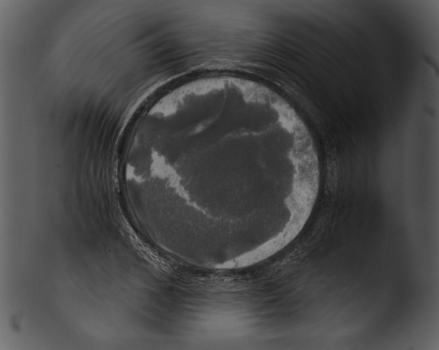 X0000103220976200809251131