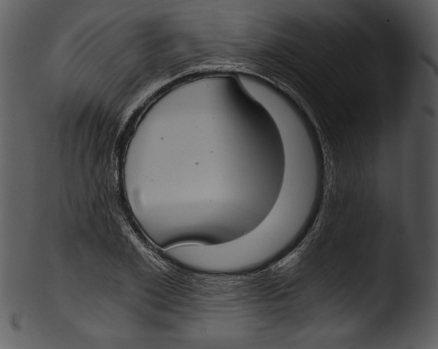 X0000103220981200809251131