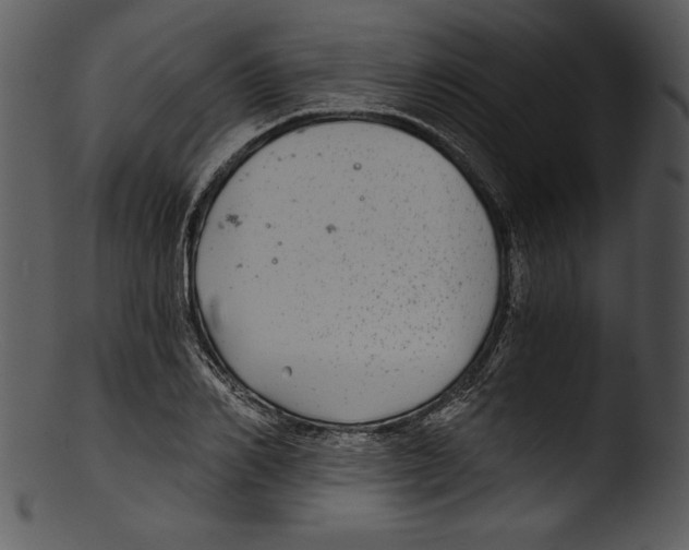 X0000103220982200809251131