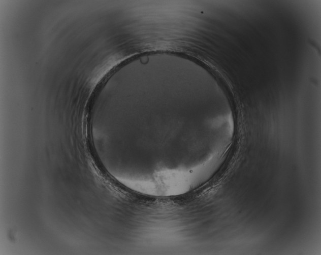 X0000103220983200809251131