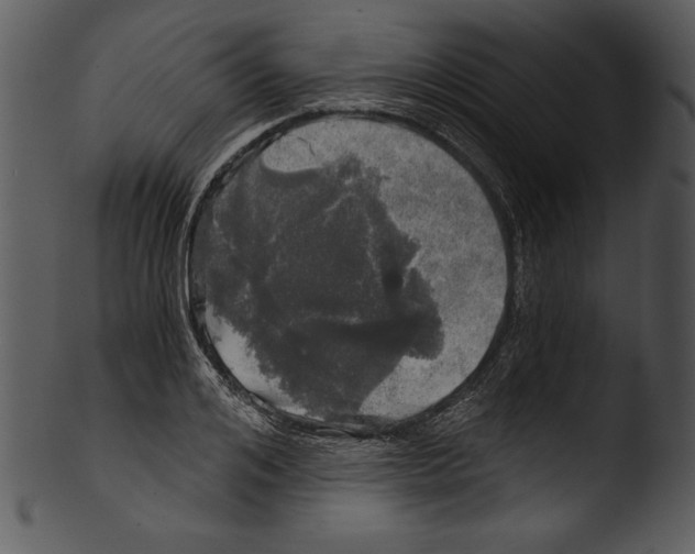 X0000103220984200809251131