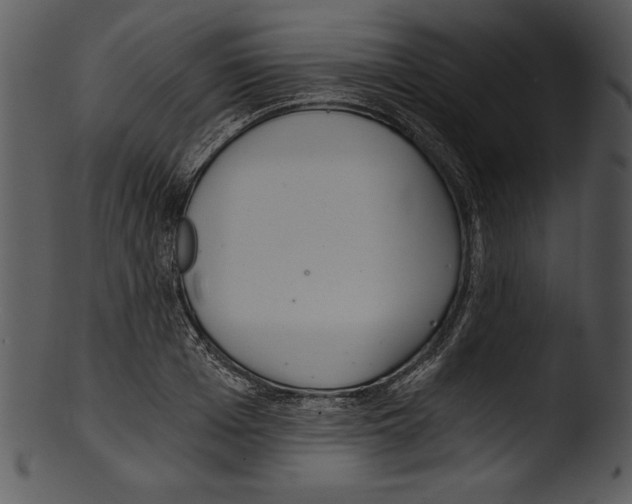 X0000103220985200809251131