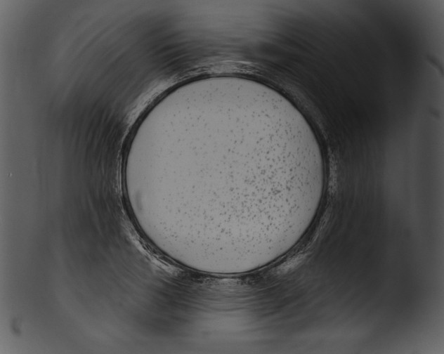 X0000103220986200809251131