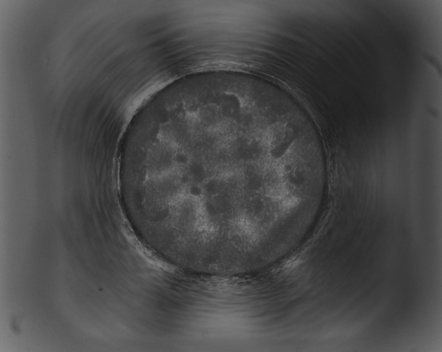 X0000103220987200809251131