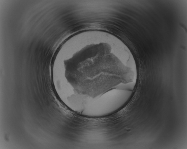 X0000103220988200809251131